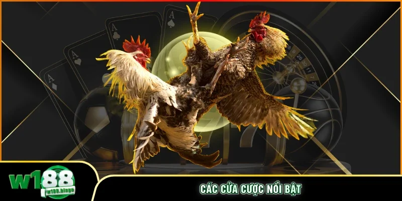 Các cửa cược nổi bật  