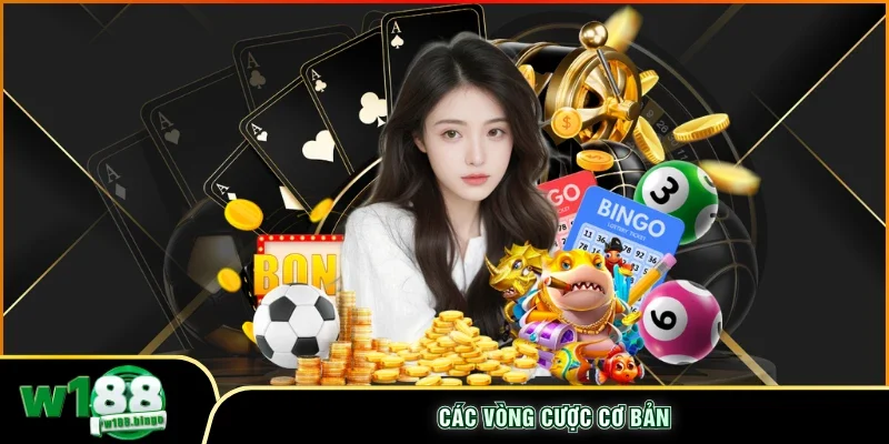 Các vòng cược cơ bản