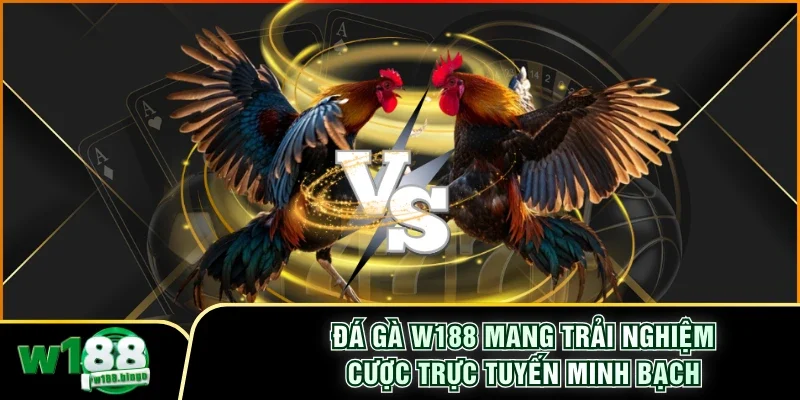 Đá Gà W188 Mang Trải Nghiệm Cược Trực Tuyến Minh Bạch