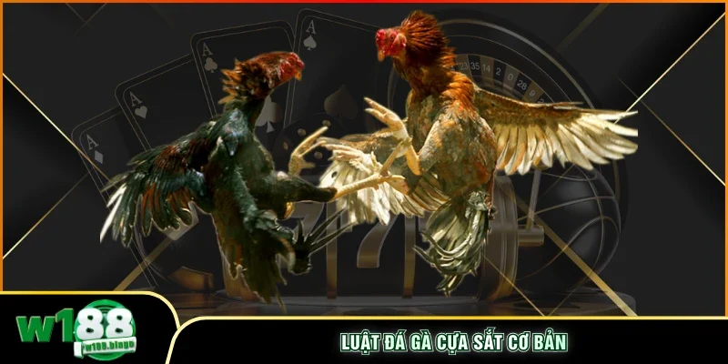 Luật đá gà cựa sắt cơ bản