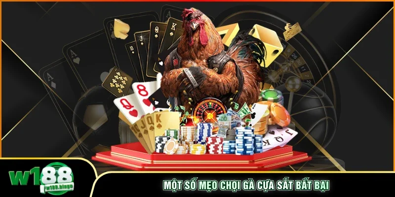 Một số mẹo chọi gà cựa sắt bất bại