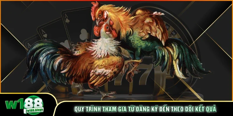 Quy trình tham gia từ đăng ký đến theo dõi kết quả